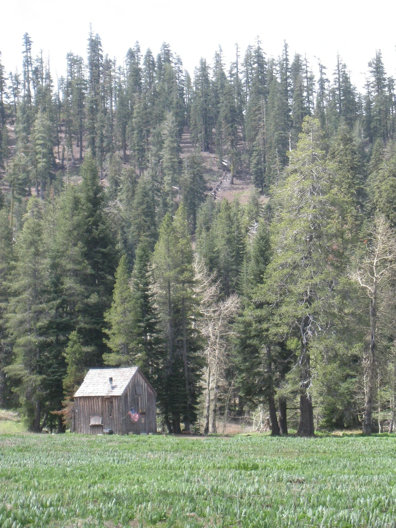 An image depicting the trail Bear Trap Basin via Mokelumne Coast to Crest Trail and its surrounding area.