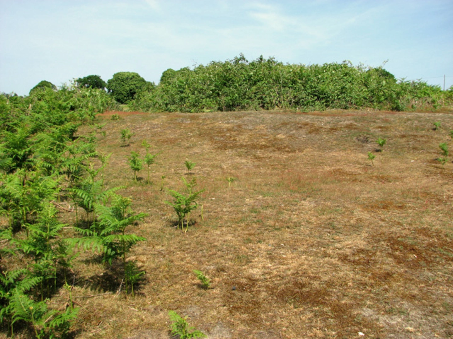 An image depicting the trail Herringfleet Hills from Somerleyton and its surrounding area.
