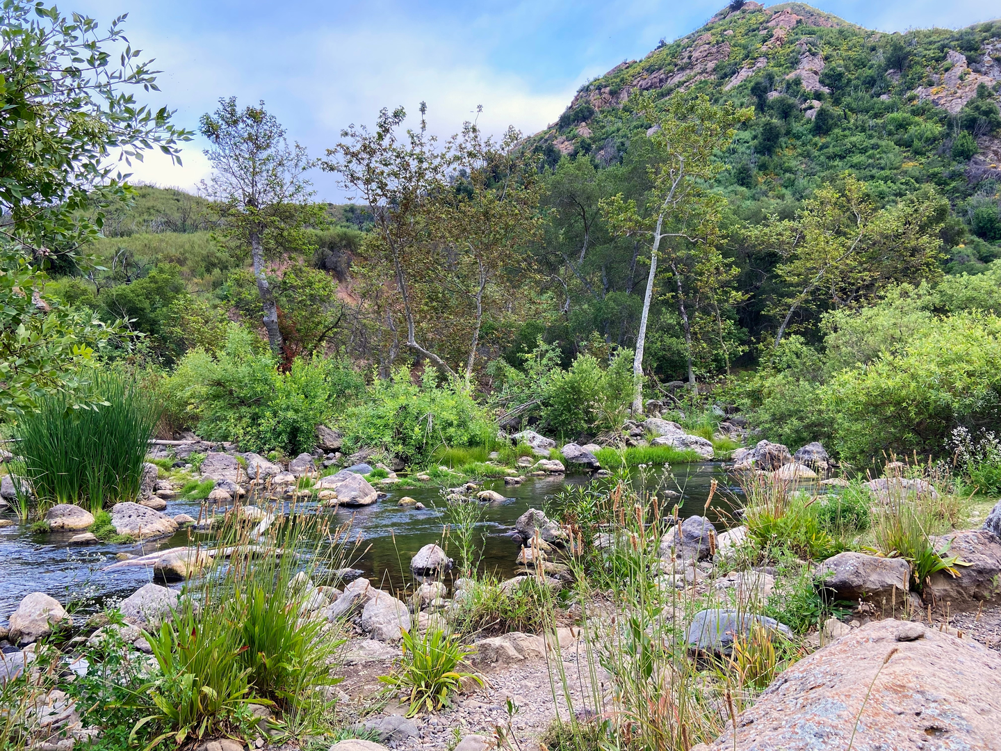 An image depicting the trail Rock Pool via High Road and its surrounding area.