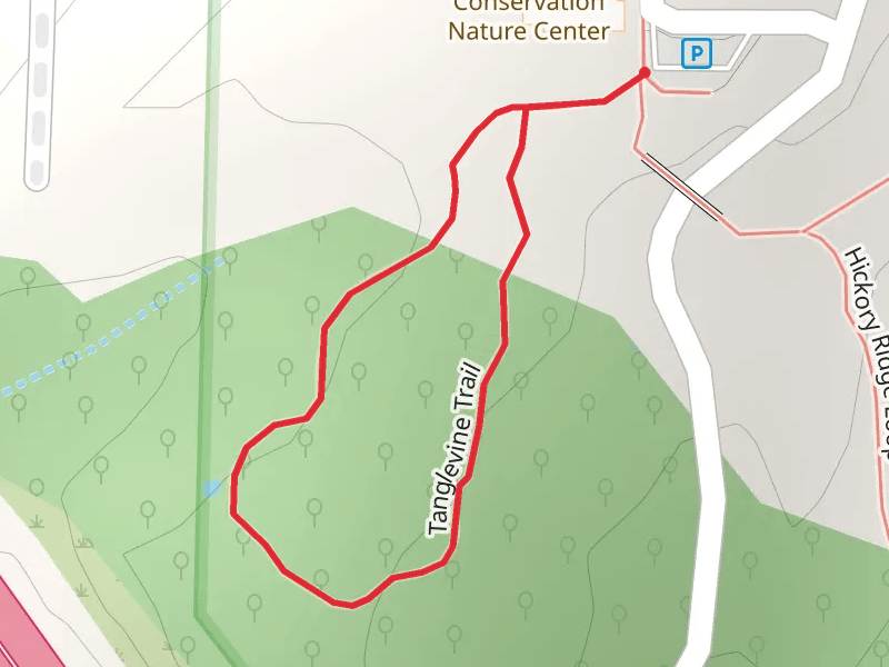 Tanglevine Loop Trail