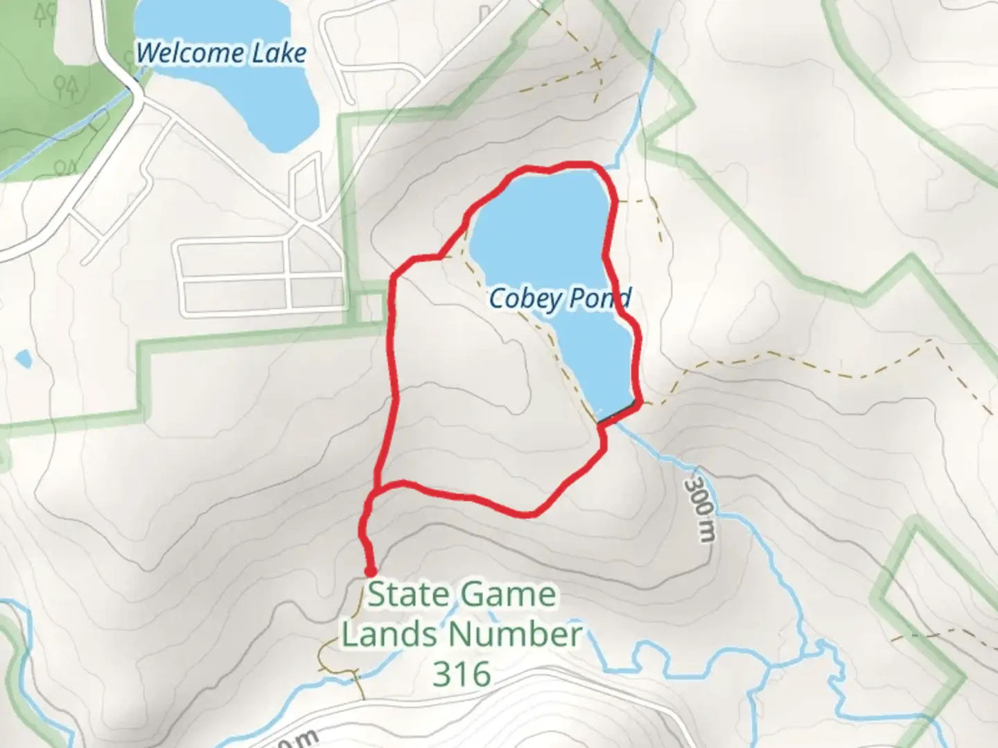 An image depicting the trail Cobey Pond Loop and its surrounding area.