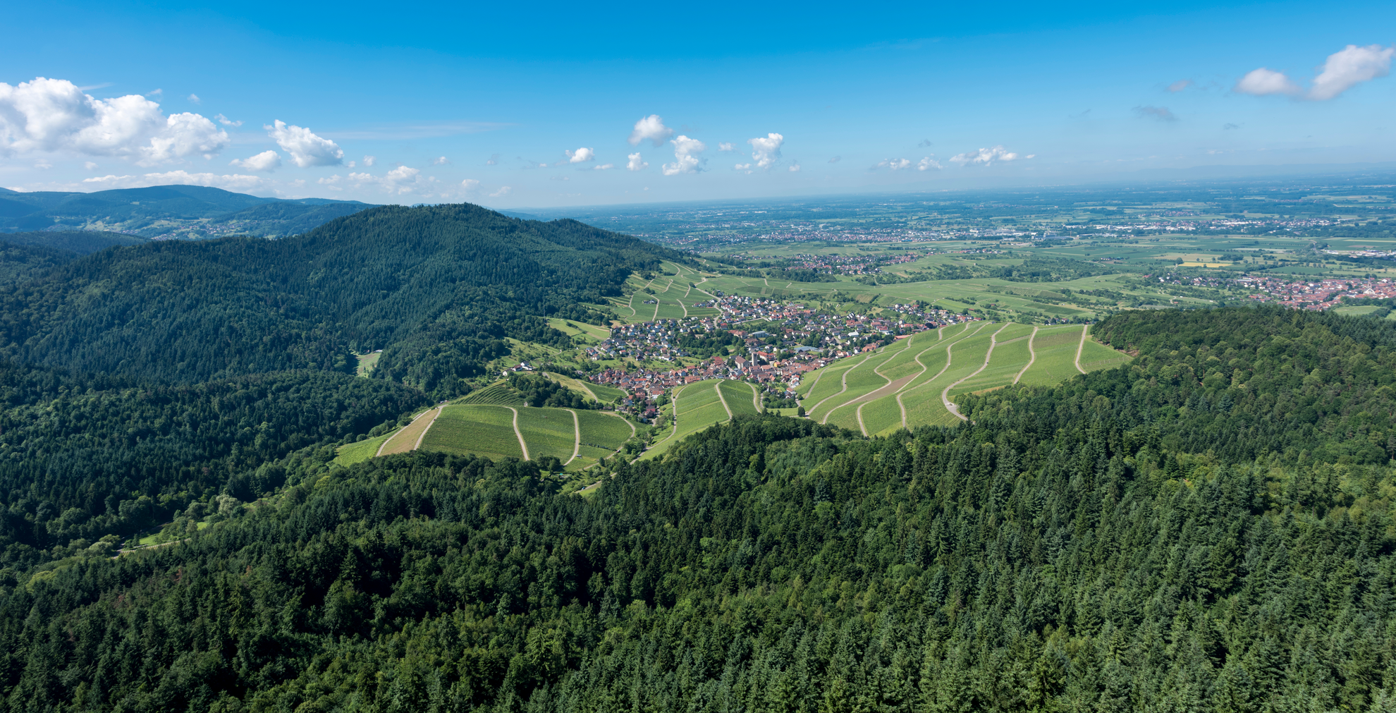 An image depicting the trail Ortenauer Weinpfad and its surrounding area.