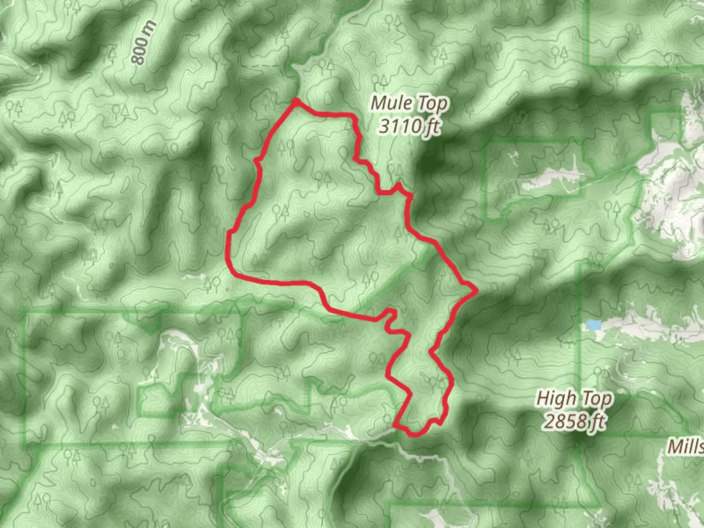 An image depicting the trail Benton MacKaye and Mill Branch Loop and its surrounding area.