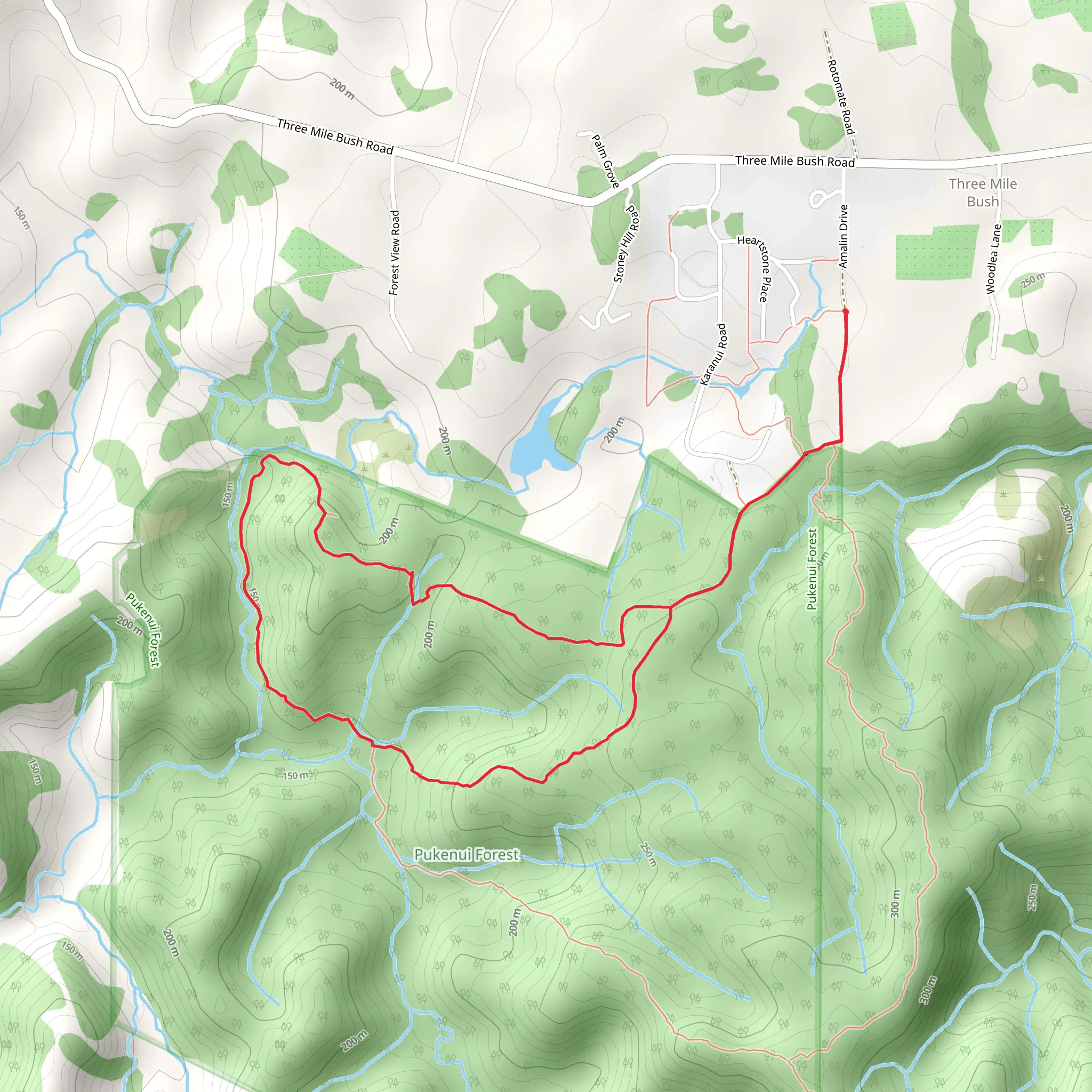 Pukenui Forest Loop mobile static map