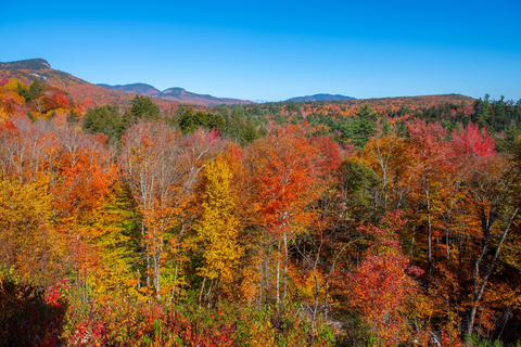 An image depicting the trail Sawyer River Trail and its surrounding area.
