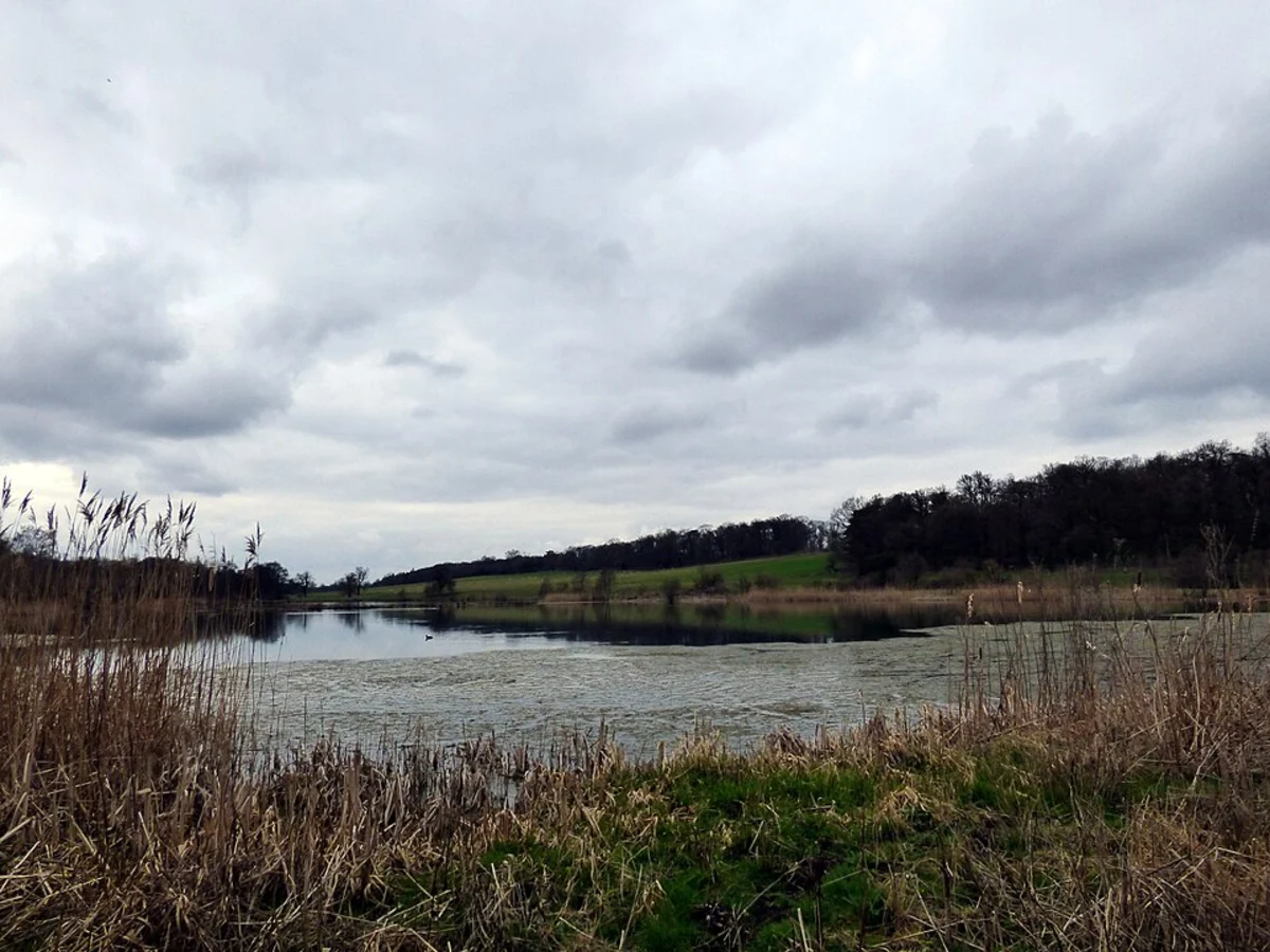 Osprey and Riverside Lake Loop from Hertford