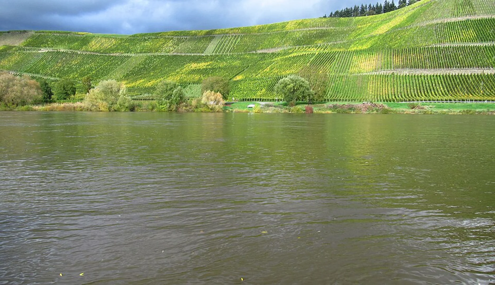 An image depicting the trail Mosel Camino and Brauneberg Jufferweg and its surrounding area.