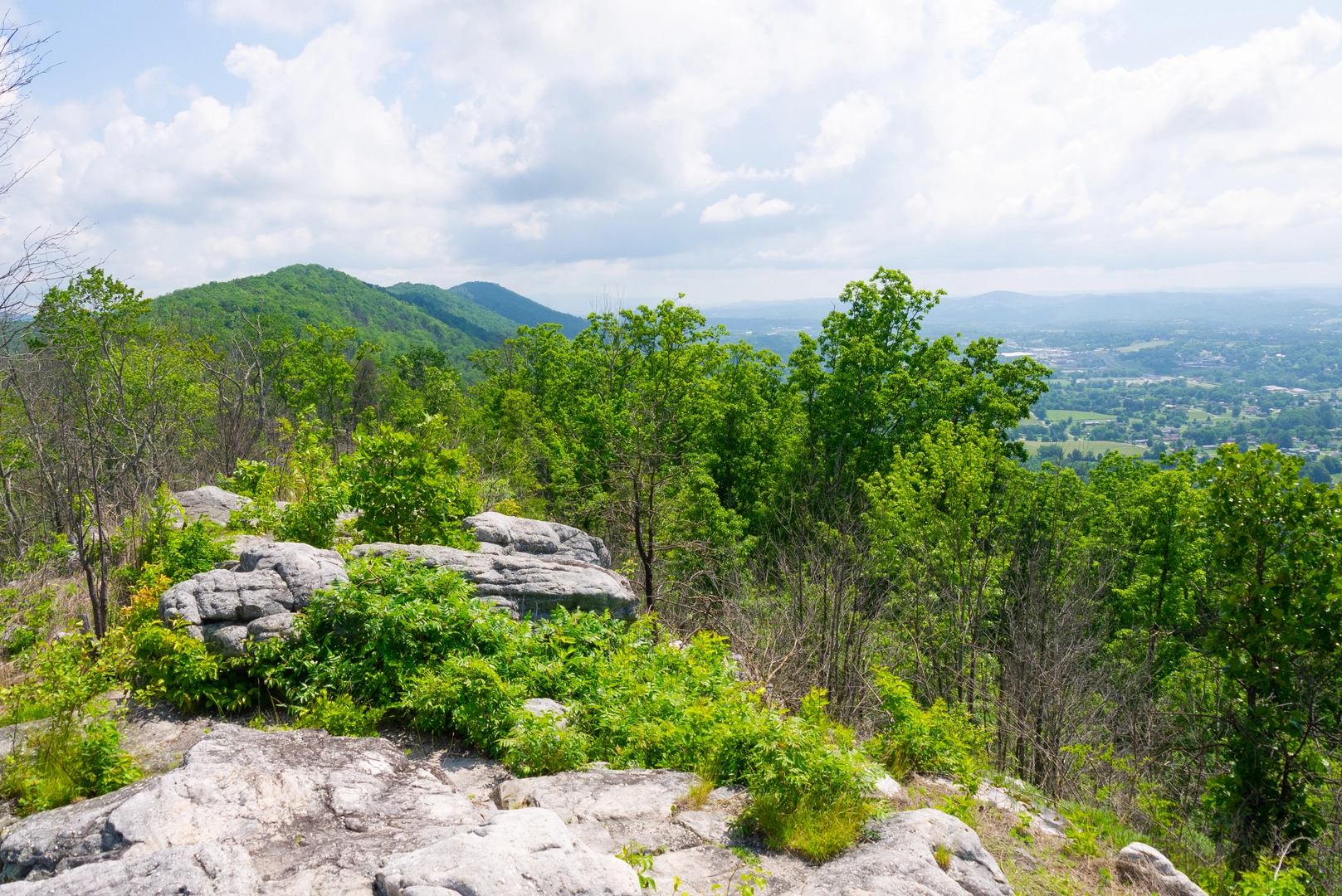 An image depicting the trail Cumberland Trail - New River Segment and its surrounding area.