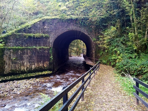 Glenshelane - Green Trail