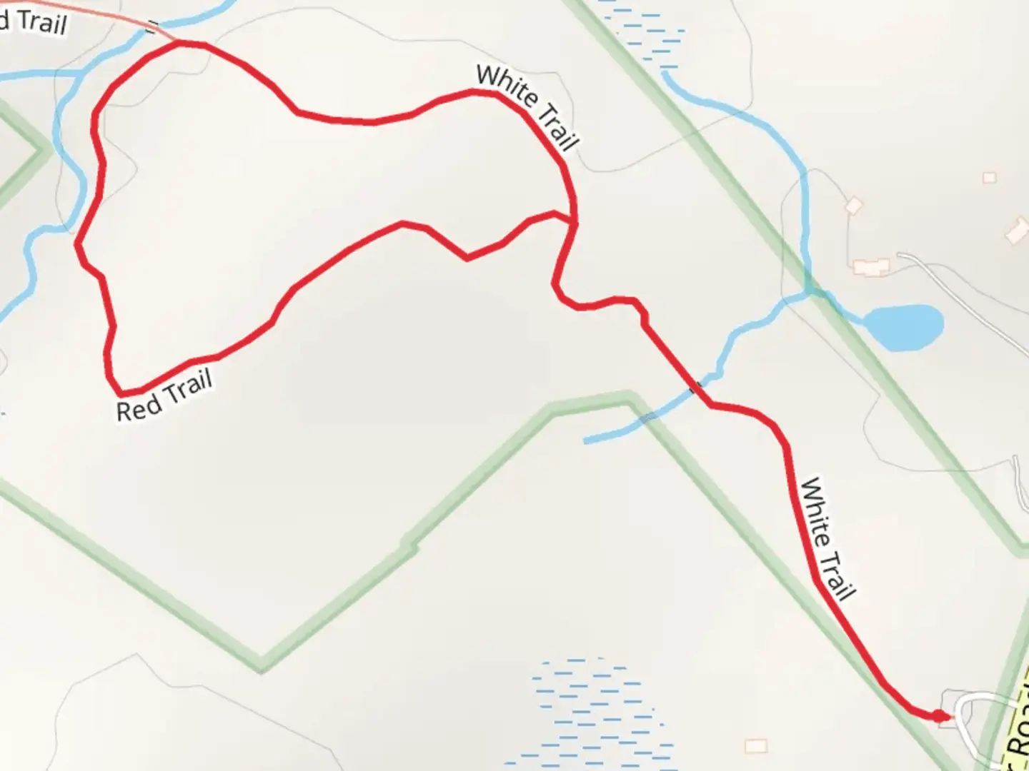 An image depicting the trail White and Red Loop Trail and its surrounding area.