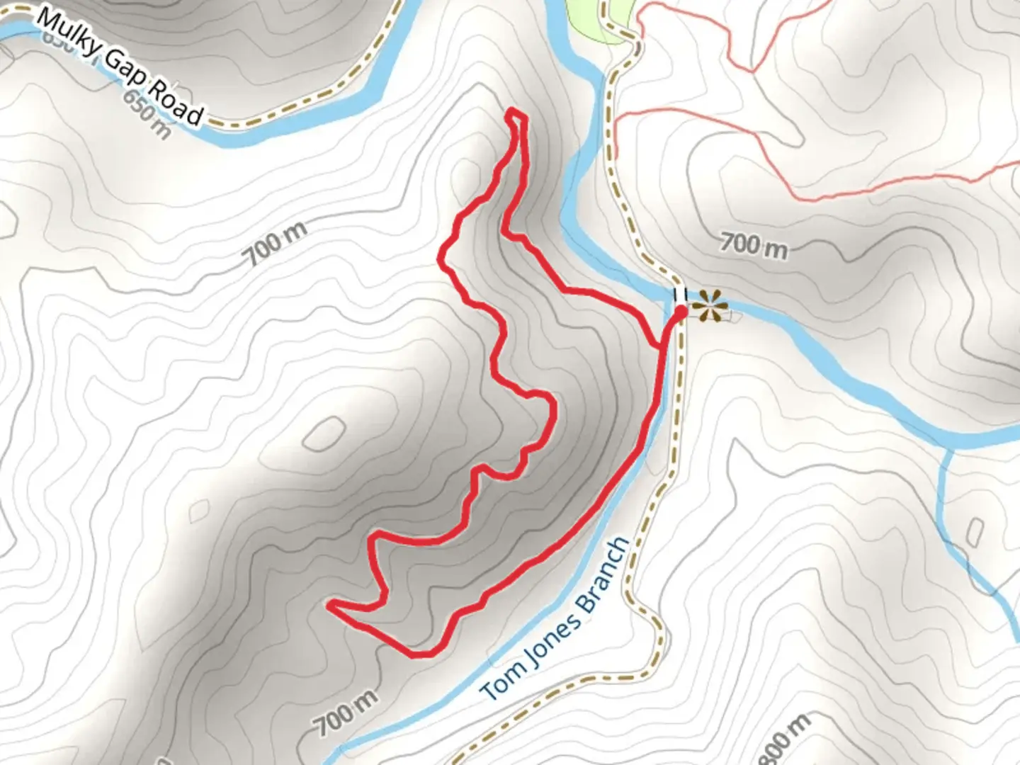 An image depicting the trail Cooper Creek Loop and its surrounding area.
