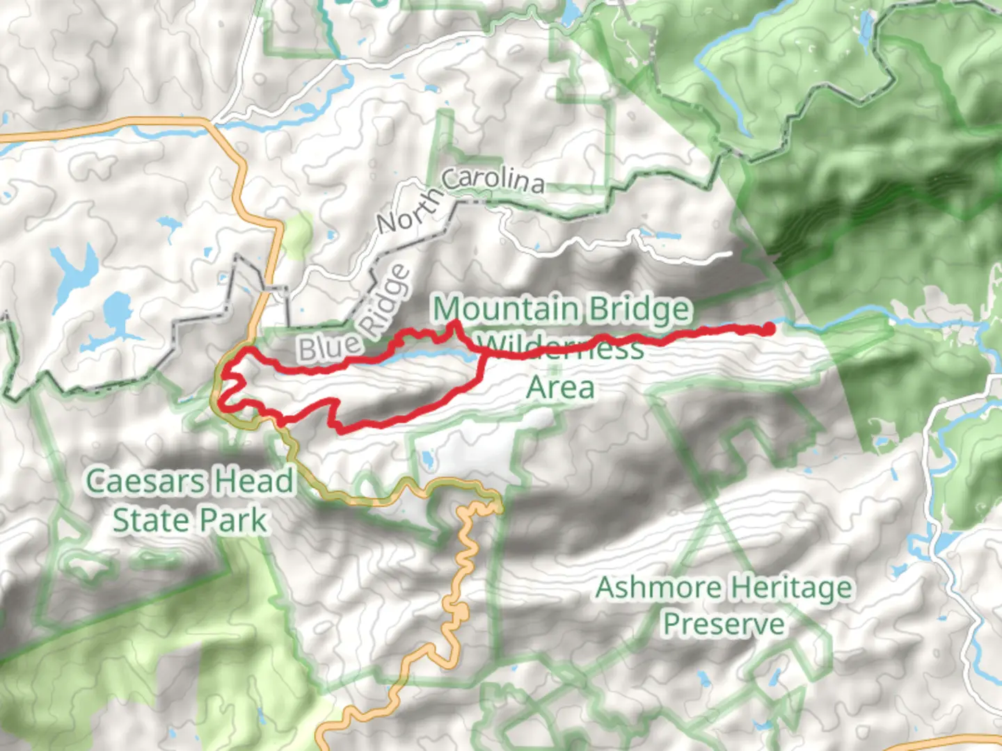 An image depicting the trail Coldspring Branch - Silver Steps - Jones Gap Loop Trail and its surrounding area.