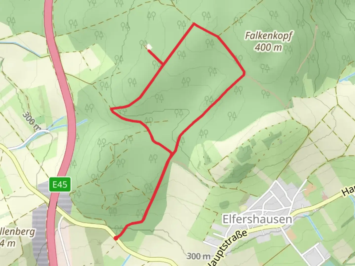 An image depicting the trail Falkenkopf Loop and its surrounding area.