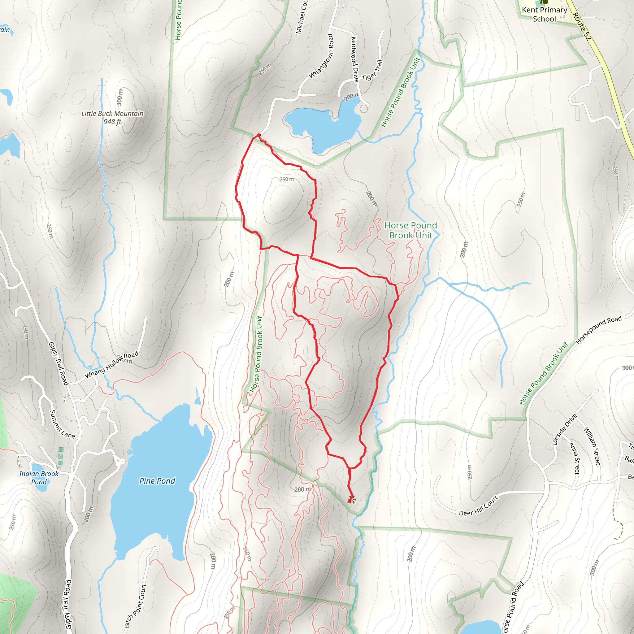 Hawk Rock Trail and Horse Pound Brook Trail Loop mobile static map
