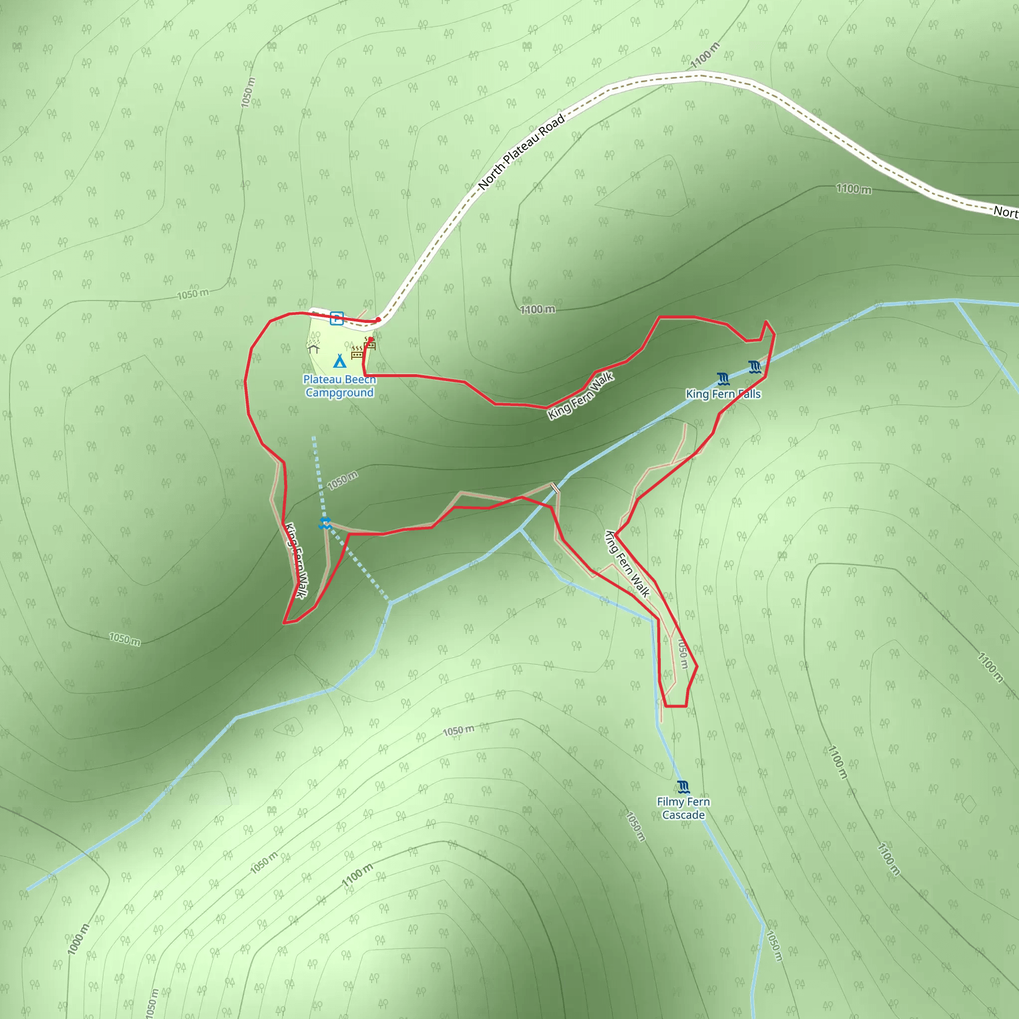 King Fern Track mobile static map
