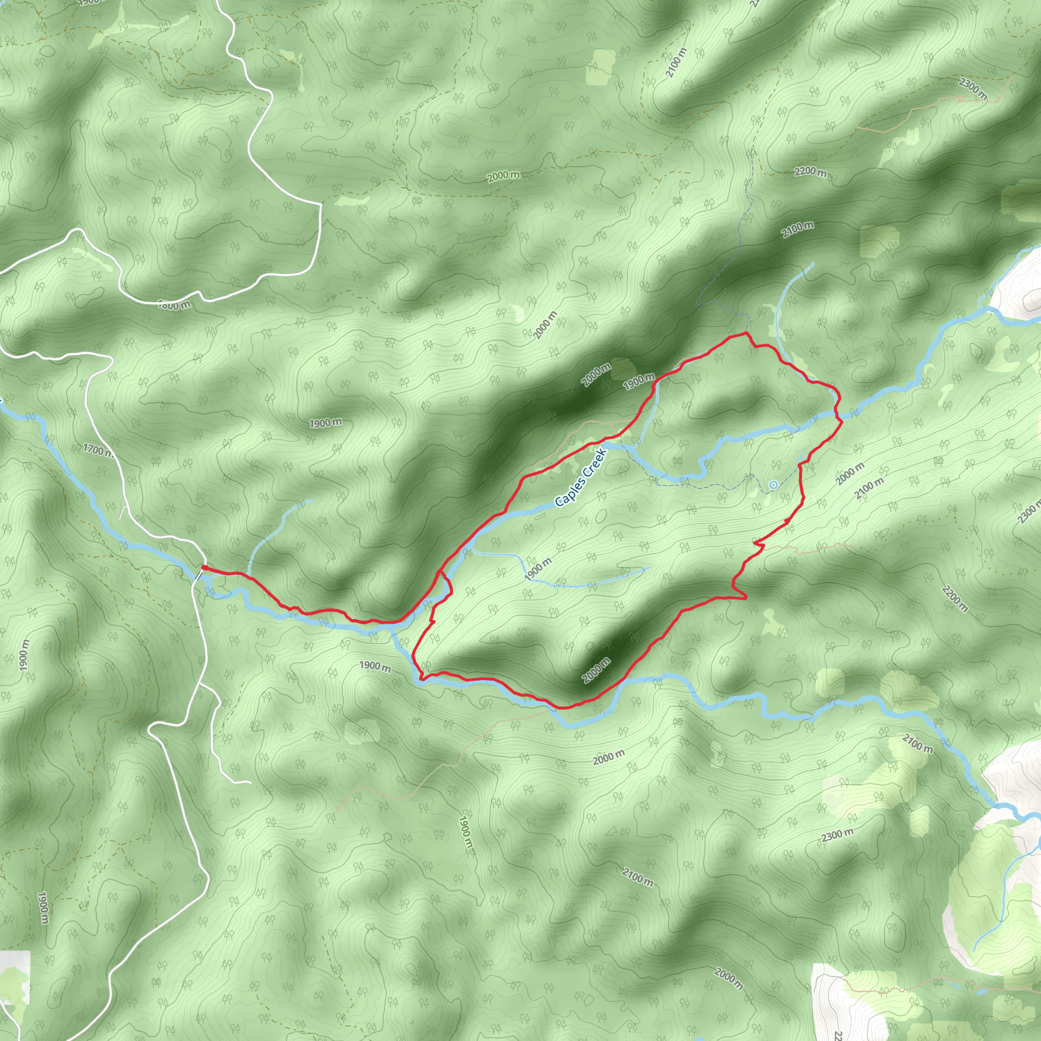 Caples Creek Loop Trail mobile static map