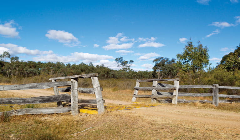 An image depicting the trail Kings Plains National Park and its surrounding area.
