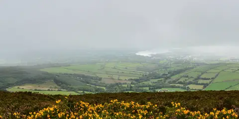 An image depicting the trail Ballyorgan Loop and its surrounding area.