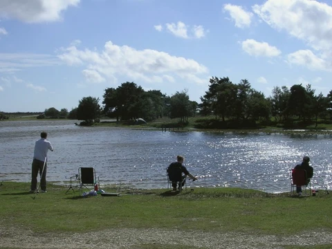 An image depicting the trail Hatchet Pond Loop and its surrounding area.