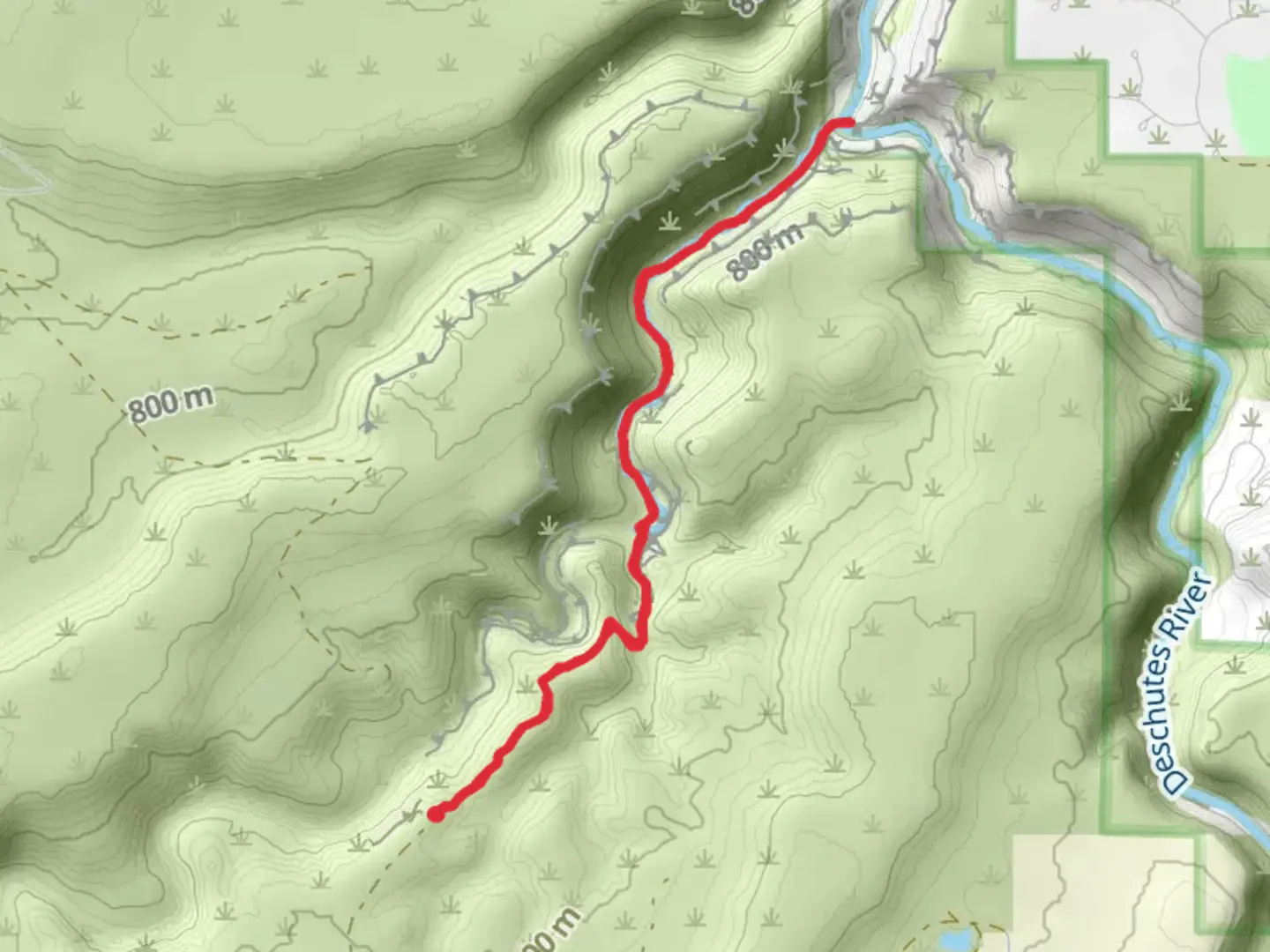 An image depicting the trail Alder Springs Trail and its surrounding area.
