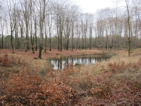 Gortelsche Bosch and Prinsenkuil Loop