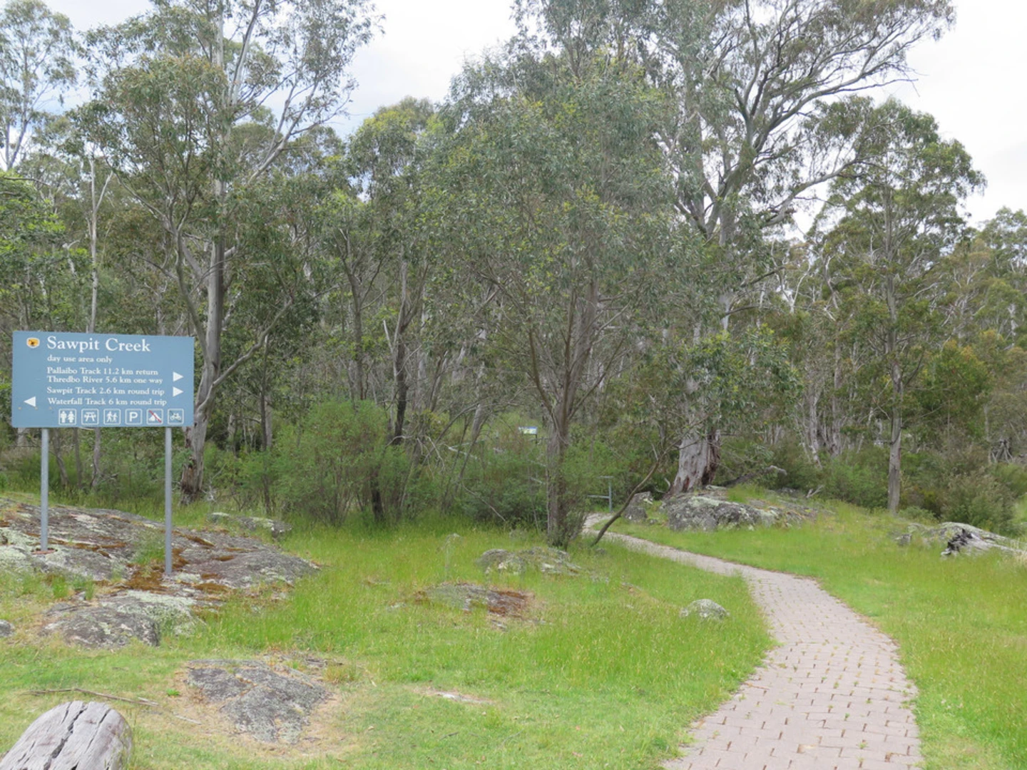 An image depicting the trail Sawpit Walking Track and its surrounding area.