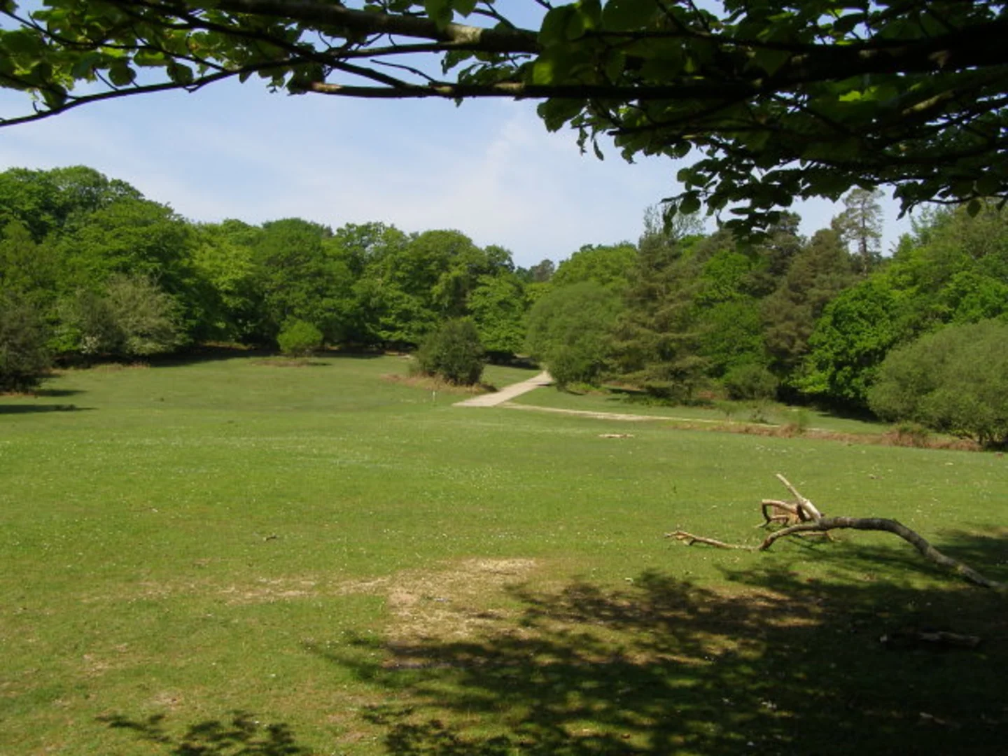 An image depicting the trail Salisbury Trench and Castle Malwood Walk and its surrounding area.