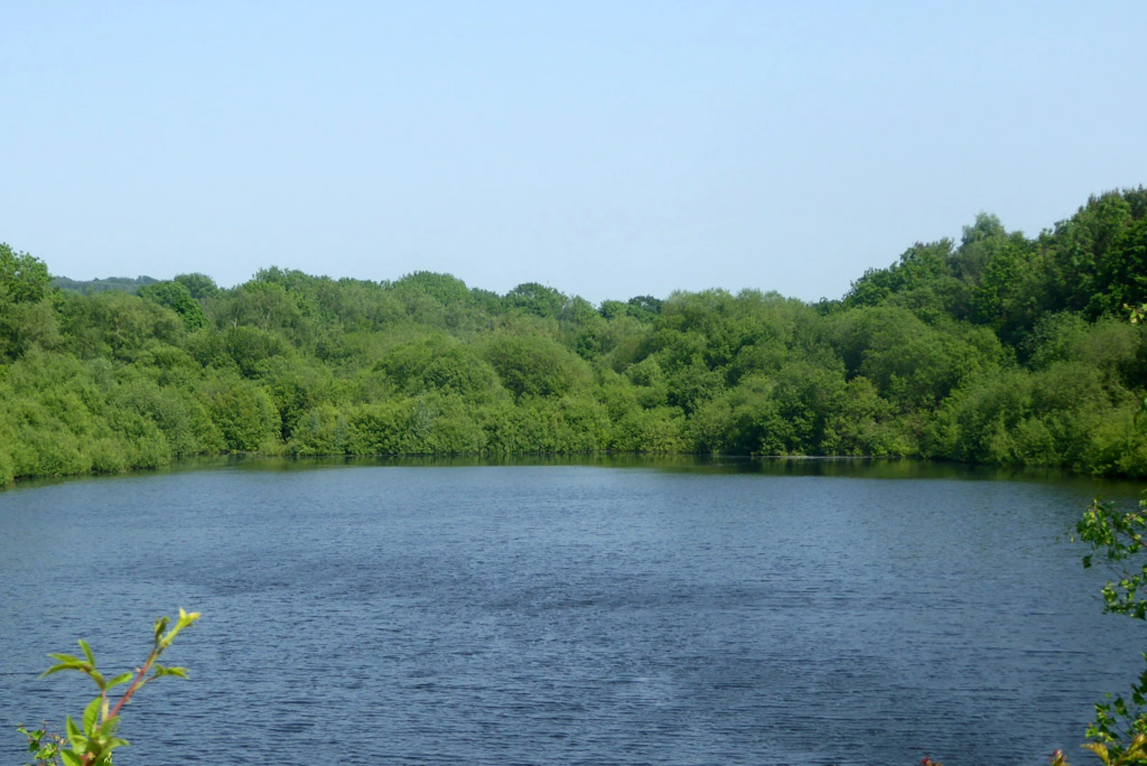 An image depicting the trail Bewl Water and its surrounding area.
