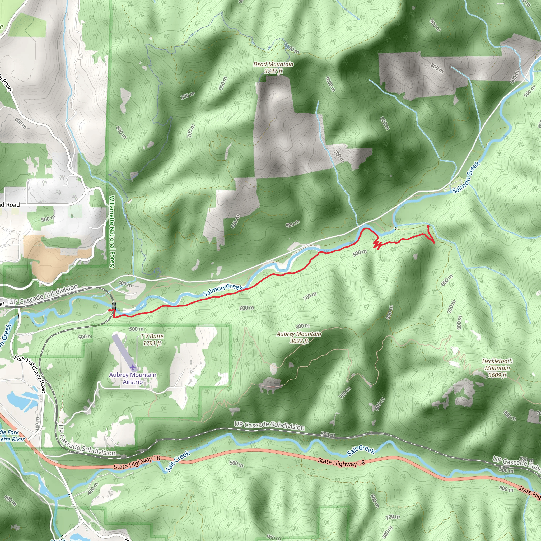 Salmon Creek Trail mobile static map