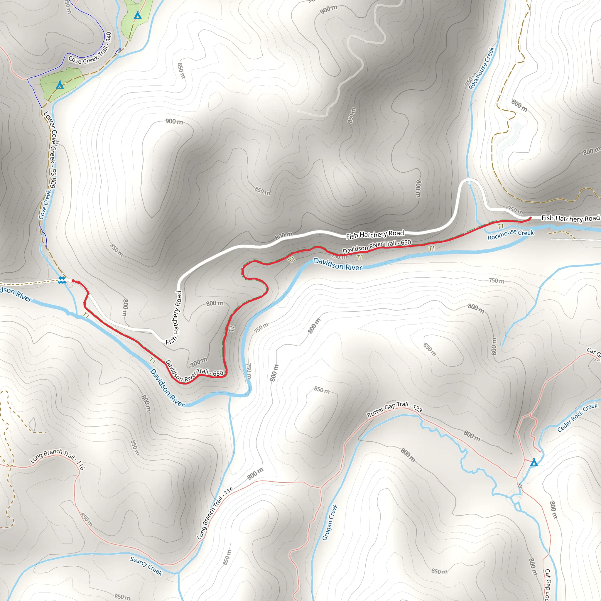Davidson River Trail mobile static map