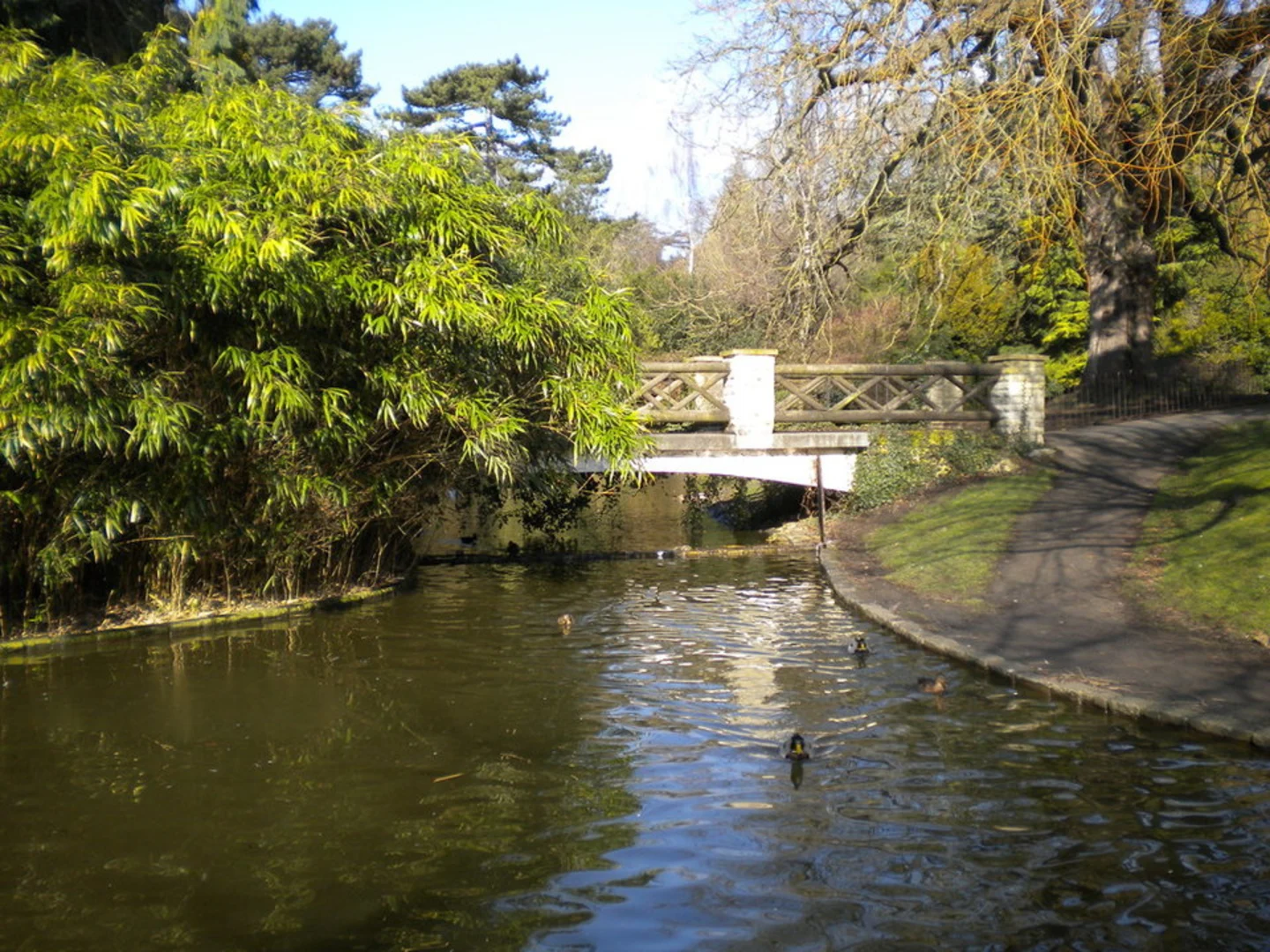 An image depicting the trail Royal Victoria Park Circular and its surrounding area.