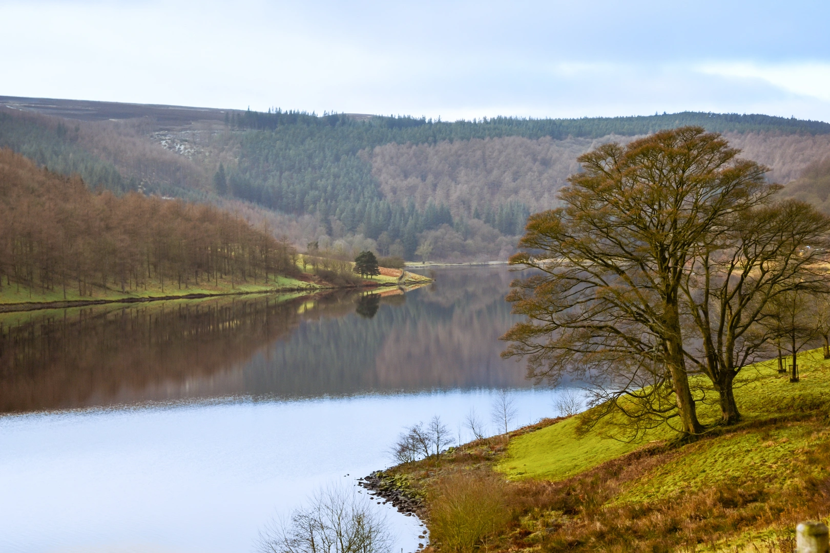 An image depicting the trail Reservoirs Loop from Fairholmes and its surrounding area.