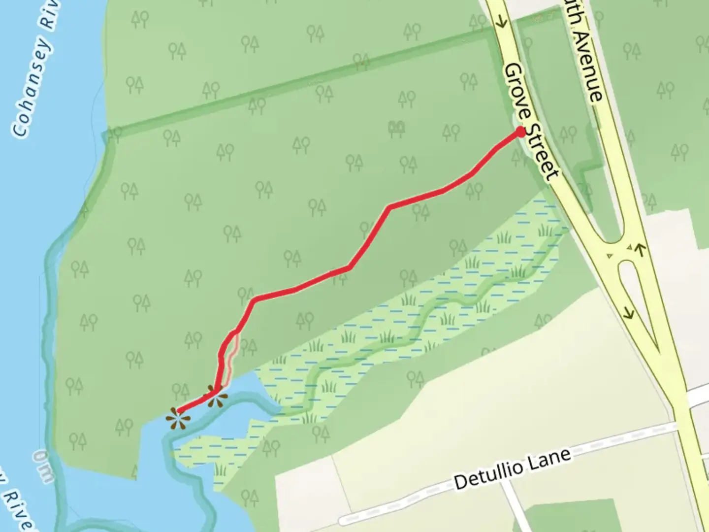 An image depicting the trail Cohansey River Walk and its surrounding area.