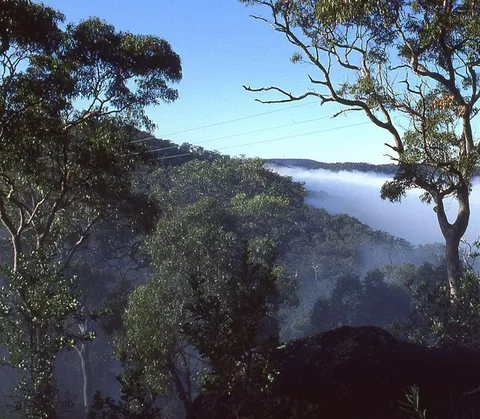 An image depicting the trail Marramarra Ridge to Smugglers Ridge Track and its surrounding area.