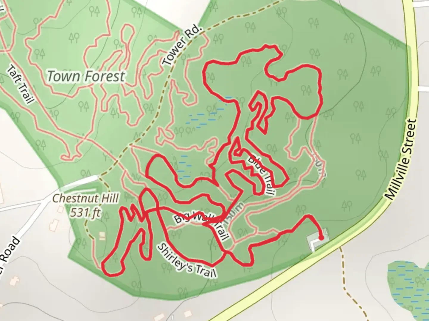 An image depicting the trail Blue Trail Loop from Millville Street and its surrounding area.