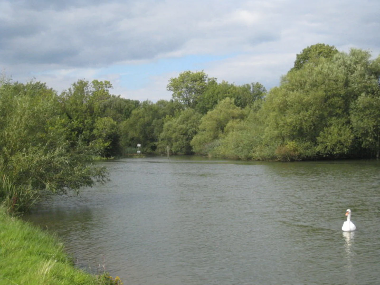An image depicting the trail Town Copse and Harcombe Wood via The Ridgeway and its surrounding area.