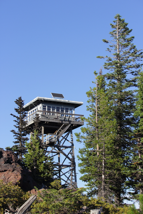 An image depicting the trail Tygh Creek Trail and its surrounding area.