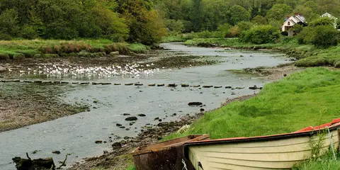 An image depicting the trail Carew - Cresswell Quay and its surrounding area.