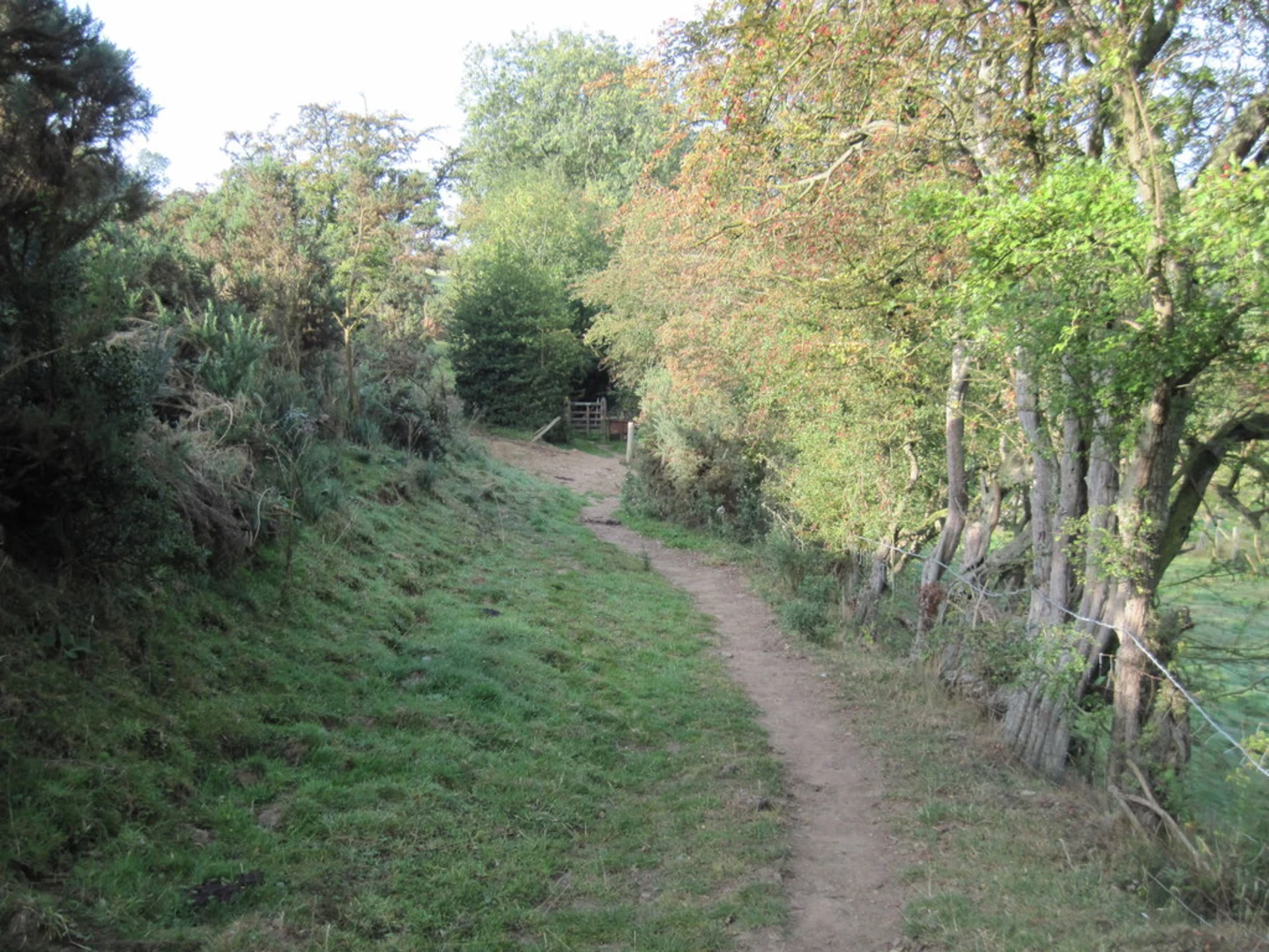 An image depicting the trail Kilburn Thicket, Brow Bank in High Kilburn Loop and its surrounding area.