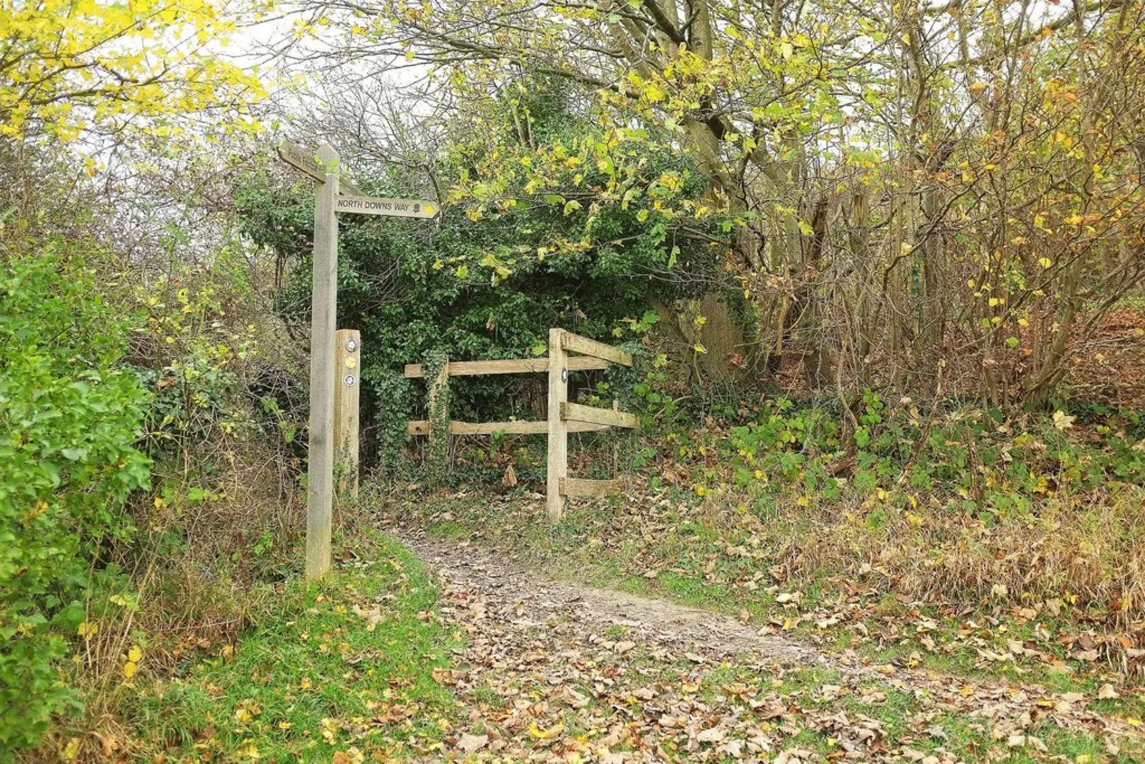 An image depicting the trail Oxted to Otford Walk and its surrounding area.