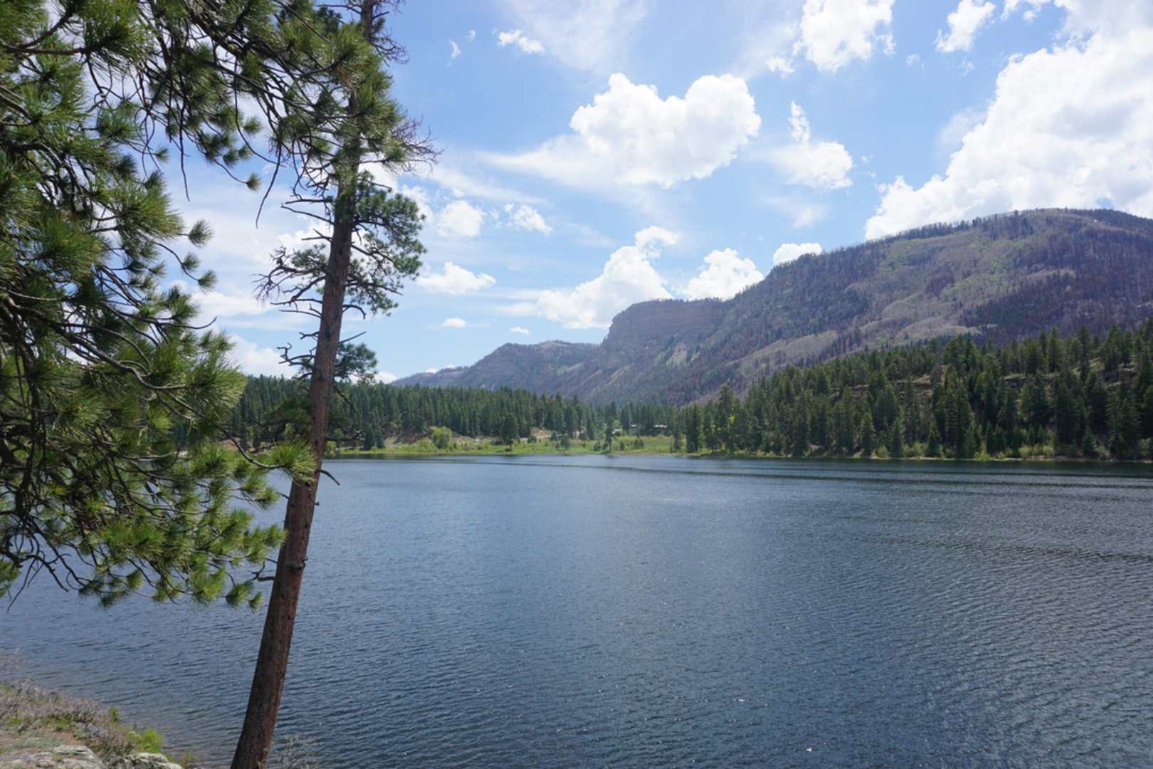 An image depicting the trail Wagon Trail and its surrounding area.