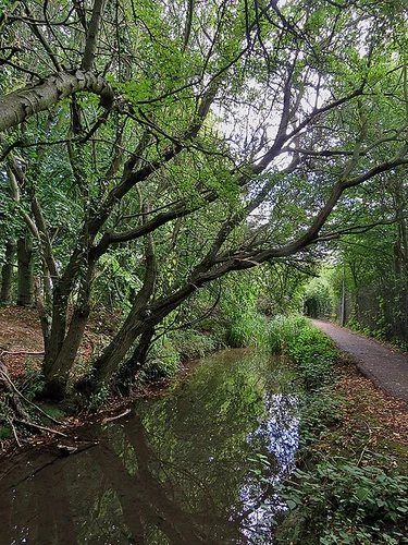 Cherry Hinton Brook and Cherry Hinton Hall Loop