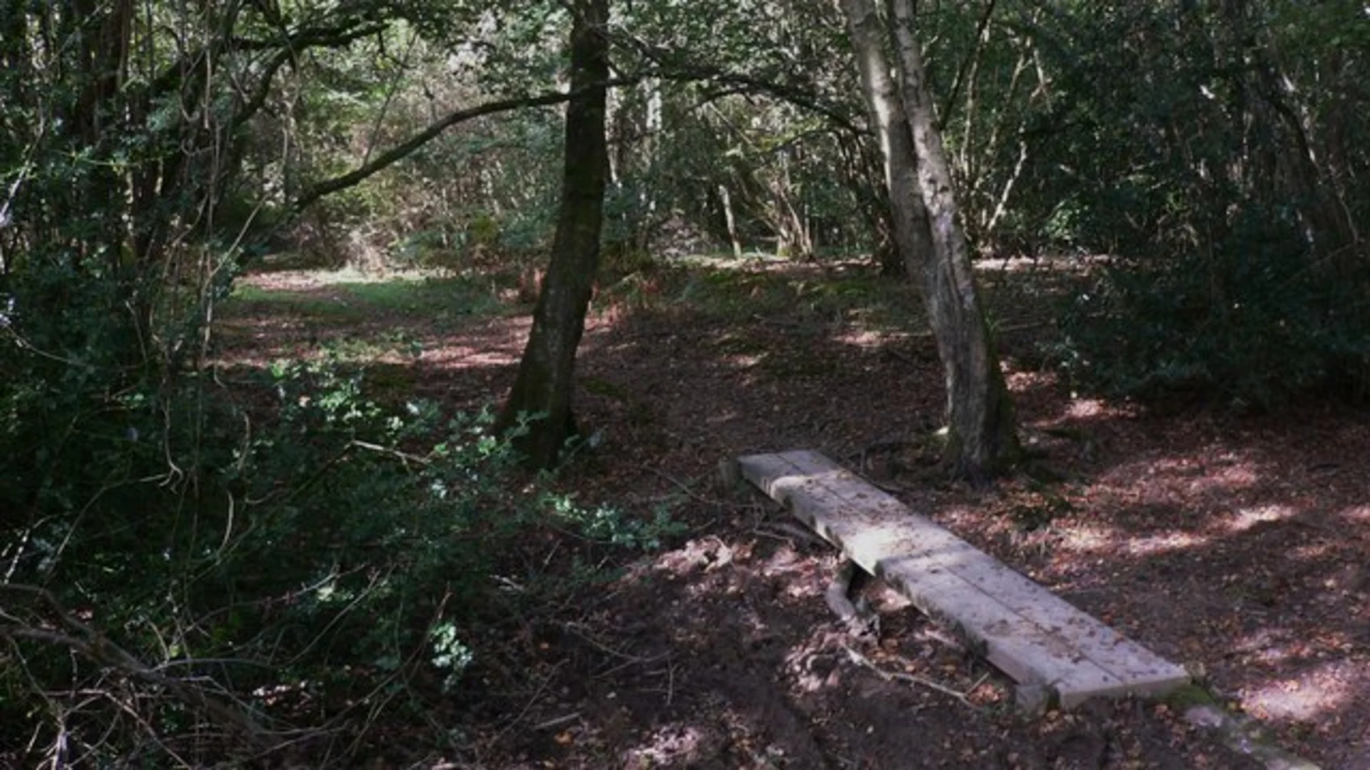 An image depicting the trail Stedham Common and Stedham Marsh Loop and its surrounding area.