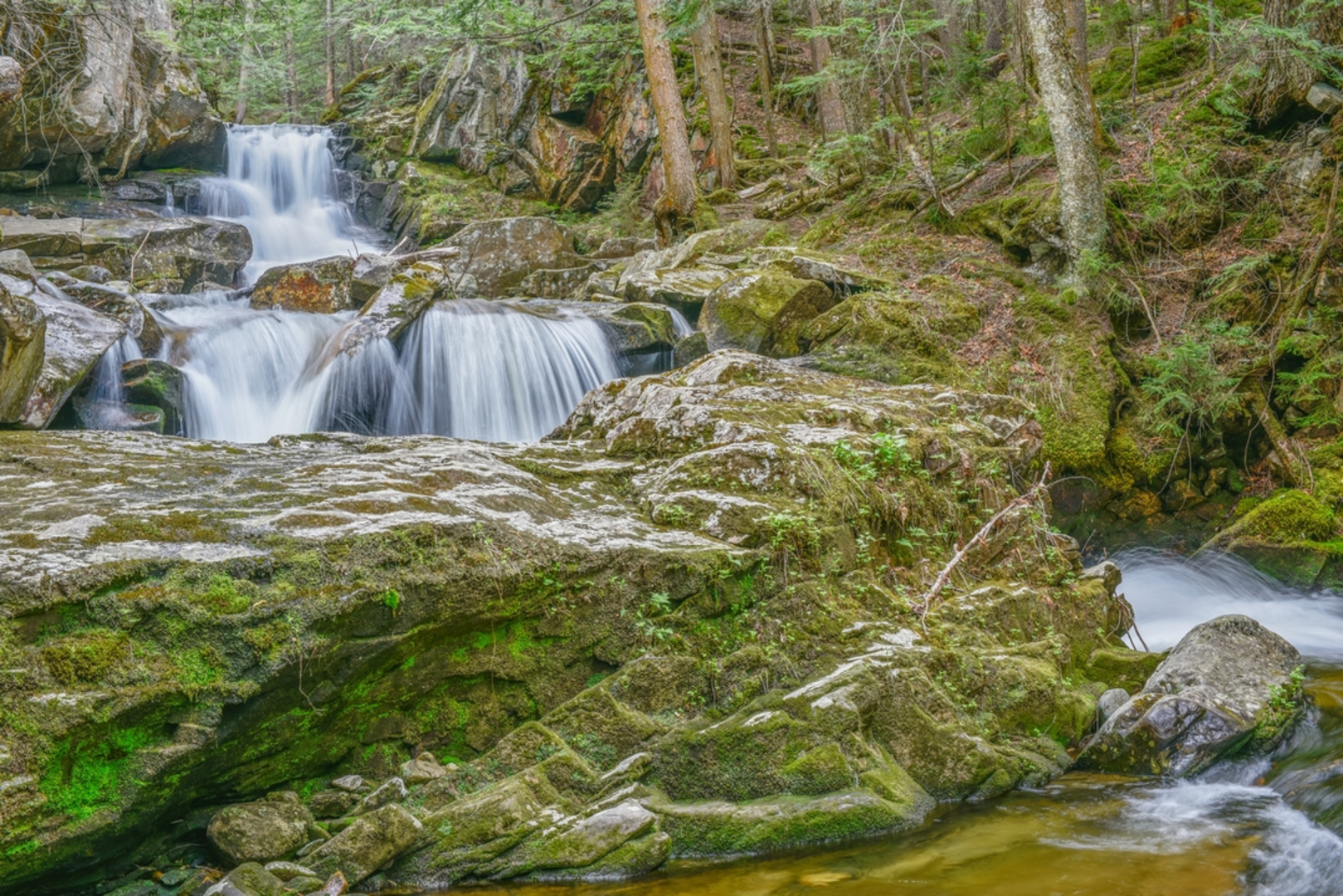 An image depicting the trail Sylvan Way via Amphibrach Trail and its surrounding area.