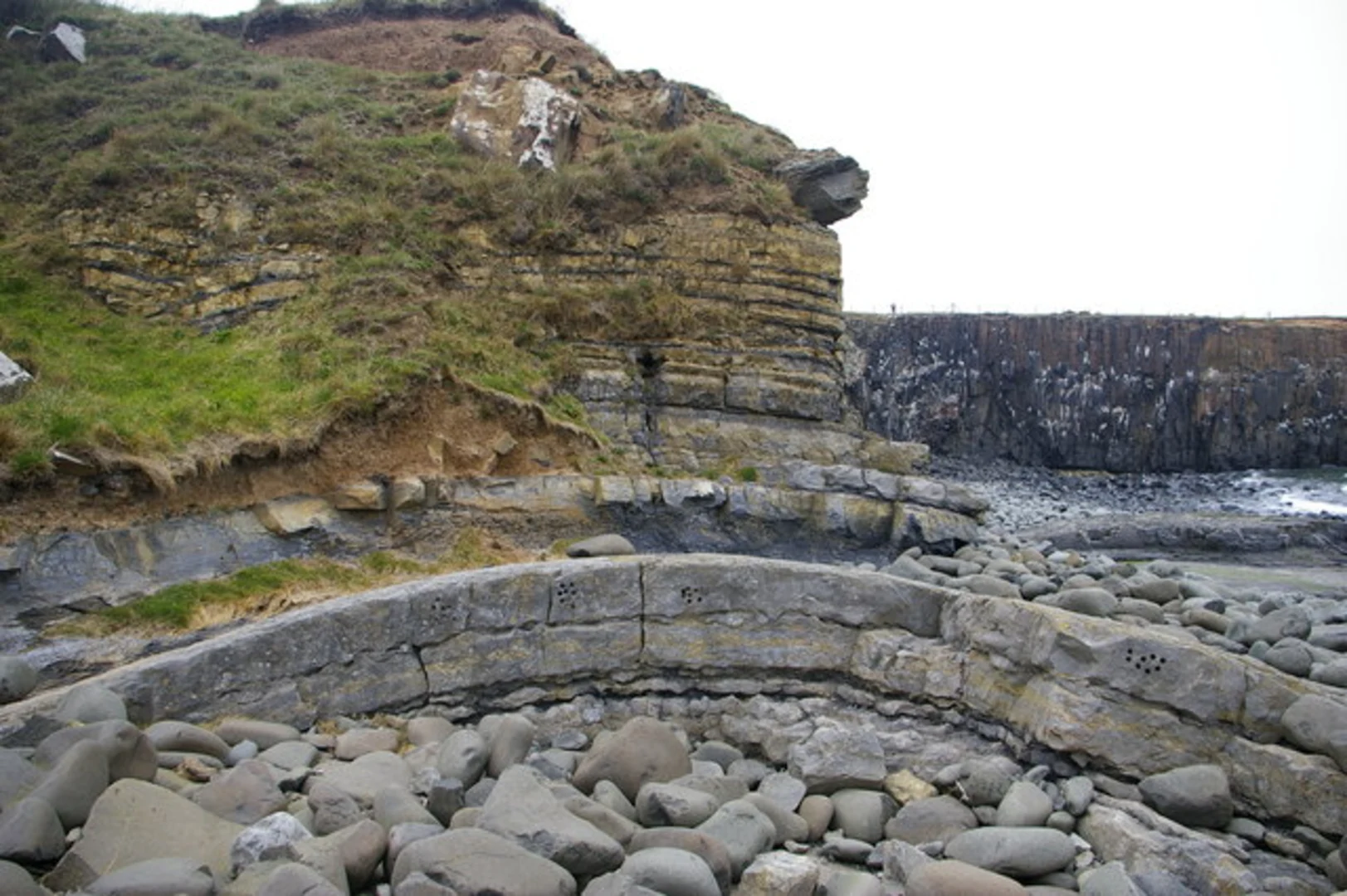 An image depicting the trail Howick Circular and its surrounding area.