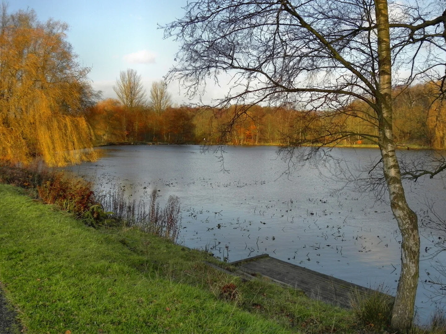 An image depicting the trail Moses Gate Country Park and its surrounding area.