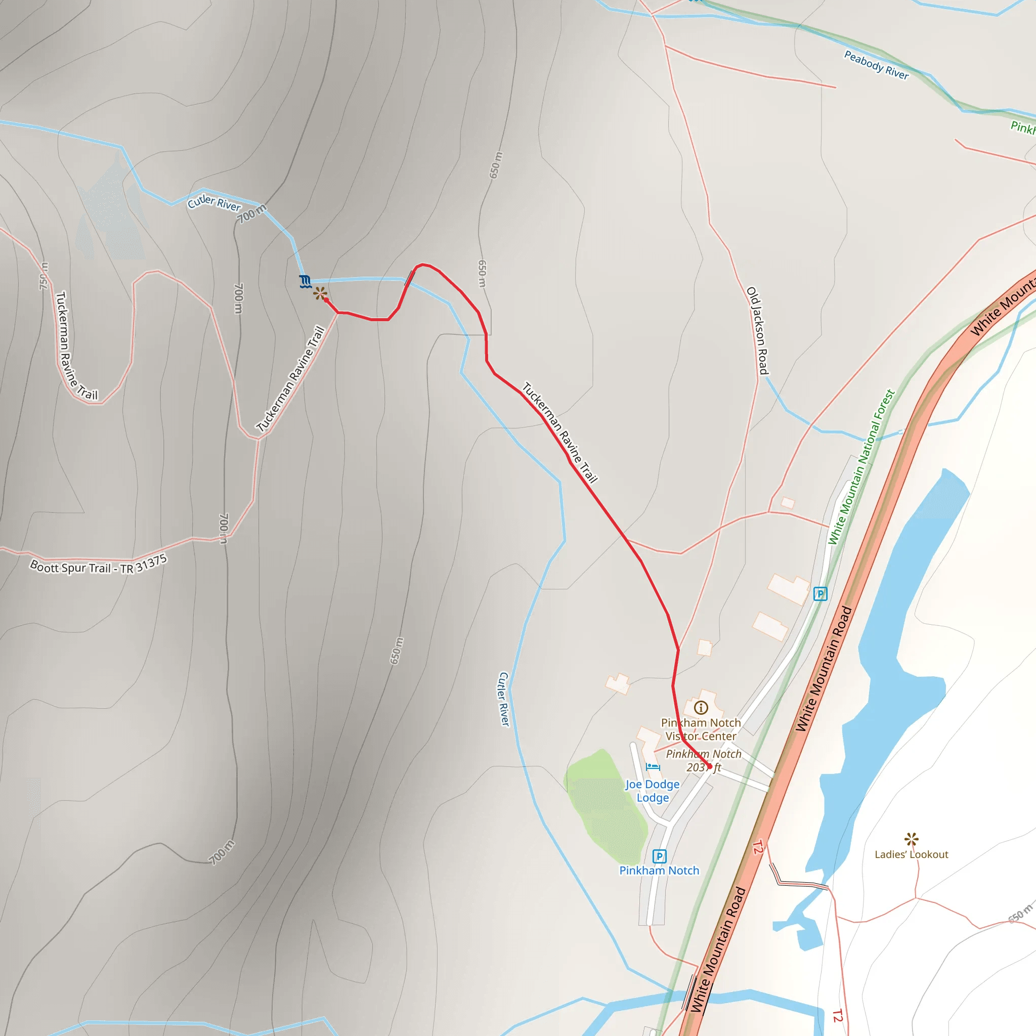 Tuckerman Ravine Short Trail mobile static map