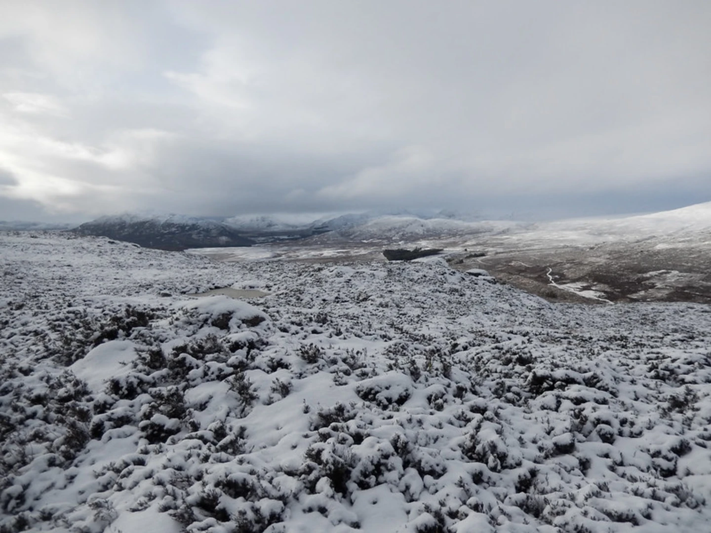 An image depicting the trail Roe Deer Trail and its surrounding area.