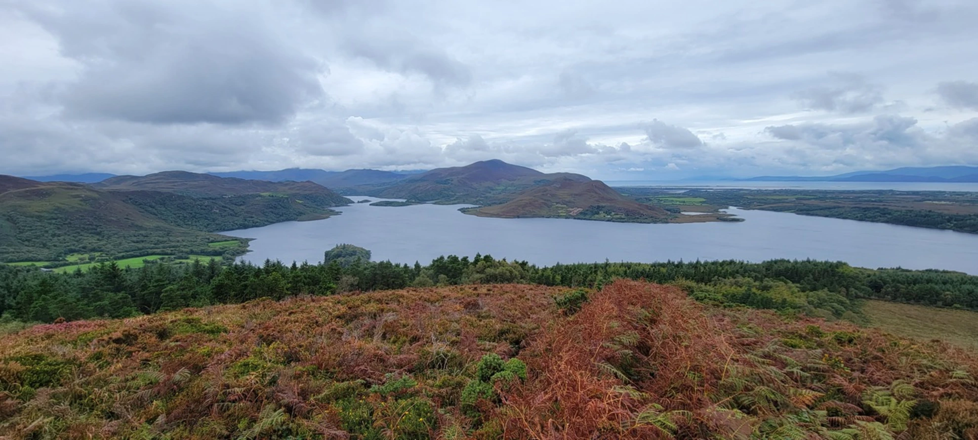 An image depicting the trail Caragh Lake Loop and its surrounding area.