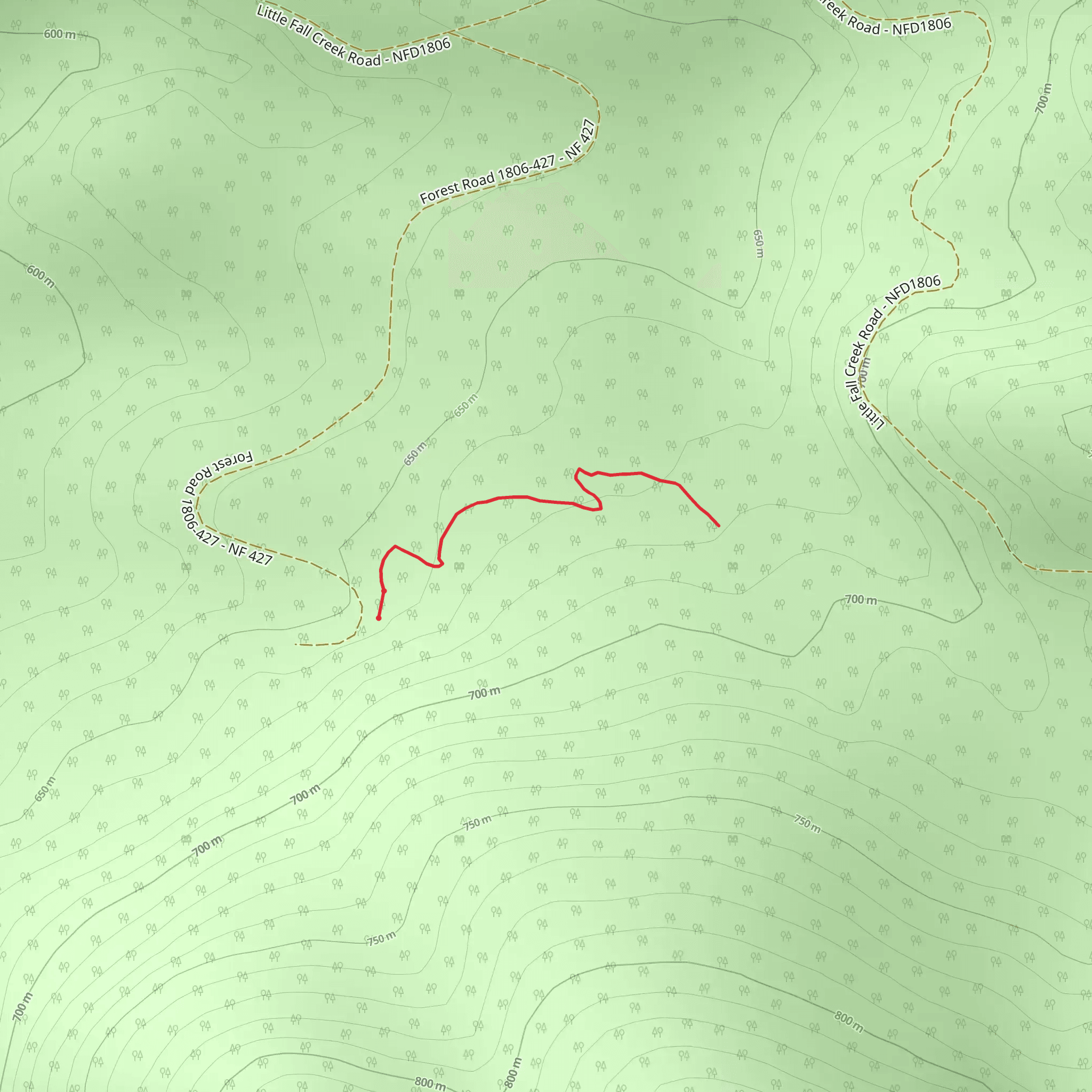 Tall Trees Trail mobile static map